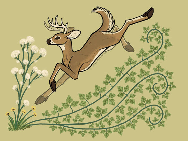 flat fullbody with background elements